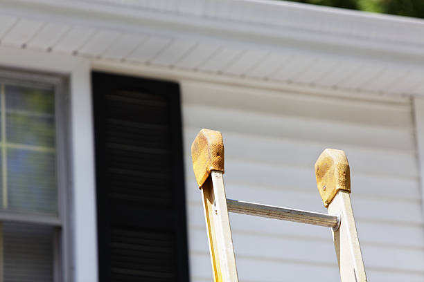 Best Carpet Removal and Disposal  in Gold Canyon, AZ